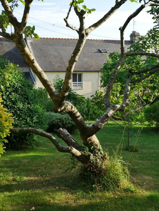 Chambre d'hôtes Douarnenez - Kerioret Izella Kerlaz Buitenkant foto
